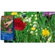 Kiepenkerl łąka kwiatowa – 250 g
